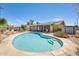 Refreshing pool with step entry, set in a backyard with mature landscaping and covered patio at 856 N Evergreen St, Chandler, AZ 85225
