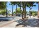 Scenic street view lined with palm trees and lush greenery in a vibrant neighborhood with benches at 856 N Evergreen St, Chandler, AZ 85225