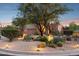 Beautifully landscaped front yard featuring desert plants and decorative lighting creating a warm, inviting ambiance at 11299 E Greythorn Dr, Scottsdale, AZ 85262