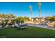 Lush backyard featuring manicured lawn, mature palm trees, and a tranquil pool area at 2661 E Birchwood Pl, Chandler, AZ 85249