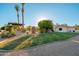 Expansive backyard featuring lush lawn, mature trees, and landscaping, creating a serene outdoor oasis at 2661 E Birchwood Pl, Chandler, AZ 85249