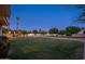 Green backyard with ample space for games and recreation at 2661 E Birchwood Pl, Chandler, AZ 85249