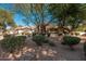 Charming home exterior showing desert landscaping with mature trees at 2661 E Birchwood Pl, Chandler, AZ 85249