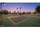 Lit pickleball court for recreation, complemented by landscaping and trees in the backyard at 2661 E Birchwood Pl, Chandler, AZ 85249