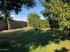 Spacious backyard featuring a privacy wall, mature trees, and lush green lawn ideal for outdoor enjoyment at 3116 W Dailey St, Phoenix, AZ 85053