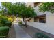 A view of landscaped walkway leading to a residential building with desert landscape at 3434 E Baseline Rd # 126, Phoenix, AZ 85042