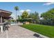 Spacious backyard with pool, lush lawn, built in bar, and mature landscaping and tall palm trees at 5101 E Paradise Dr, Scottsdale, AZ 85254