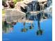 Enjoy a peaceful afternoon at the community water feature with tranquil waterfalls and swaying palms reflecting on the pond at 1405 E Chicago Cir, Chandler, AZ 85225