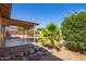 Spacious backyard featuring a covered patio, lush greenery, and desert landscaping at 1430 N Ashland --, Mesa, AZ 85203