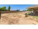Expansive backyard with mature trees, providing ample space for outdoor activities and relaxation at 1676 W Sequoia Dr, Phoenix, AZ 85027