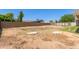 Large backyard with mature trees offers plenty of room for recreation and gardening at 1676 W Sequoia Dr, Phoenix, AZ 85027