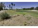 Expansive views of the lush golf course, with tall palm trees dotting the horizon, enhances the property's appeal at 17200 W Bell Rd # 1602, Surprise, AZ 85374