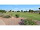 Expansive community green space features lush landscaping, trees, and open areas, perfect for outdoor enjoyment at 5439 W Odeum Ln, Phoenix, AZ 85043
