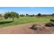 Large community park with green lawn and mature trees for outdoor recreation and relaxation at 5439 W Odeum Ln, Phoenix, AZ 85043