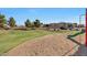 Scenic view of the community park featuring lush green space, a playground, and mature trees at 5439 W Odeum Ln, Phoenix, AZ 85043