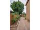 Inviting backyard with brick-paved walkway, mature landscaping, and privacy fence at 760 N Swallow Ln, Gilbert, AZ 85234