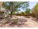 Expansive backyard features desert landscaping with a decorative statue at 804 N 46Th St, Mesa, AZ 85205