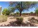 Large, well-maintained backyard featuring mature trees and desert landscaping at 804 N 46Th St, Mesa, AZ 85205