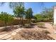 Landscaped backyard featuring several trees, low-lying plants, and a stone paver pathway at 804 N 46Th St, Mesa, AZ 85205