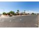 Street view of home showing curb appeal with palm trees and colorful flowering bushes at 804 N 46Th St, Mesa, AZ 85205