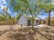 Low maintenance backyard featuring gravel, mature trees, and privacy fence at 10613 S 41St Pl, Phoenix, AZ 85044