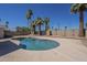 Backyard swimming pool surrounded by palm trees and a block wall at 12234 S Pewaukee St, Phoenix, AZ 85044