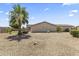 Backyard with low-maintenance desert landscaping and mature palm trees at 14621 W Catalina Dr, Goodyear, AZ 85395