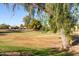 A view of a neighborhood park with mature trees and green spaces, offering a tranquil setting at 1521 W Kent Dr, Chandler, AZ 85224