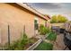 Backyard with a garden and greenery, offering outdoor relaxation and privacy at 2006 W Gold Dust Ave, Queen Creek, AZ 85144