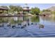 Scenic view of a pond with ducks swimming and a bridge in the background at 40613 N Candlewyck Ln, Anthem, AZ 85086