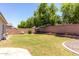 Green backyard with manicured lawn, trees, and block wall at 6317 S Banning St, Gilbert, AZ 85298