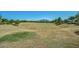 Expansive community common area with lush green spaces and mountain views at 6317 S Banning St, Gilbert, AZ 85298