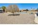 Backyard offering a rock landscape and mature shade tree at 8103 E Southern Ave # 170, Mesa, AZ 85209