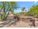 Well-kept backyard featuring wooden planter beds and a variety of plants and trees at 8213 E Sharon Dr, Scottsdale, AZ 85260