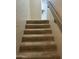 Carpeted stairs lead to the next level, with a peek at the modern bathroom design at 1734 W Tuckey Ln # 14, Phoenix, AZ 85015