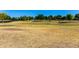 Expansive park area with a mix of grassy and open spaces, shaded by mature trees, and enclosed by a dark fence at 1862 E Tulane Dr, Tempe, AZ 85283