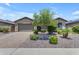 Beautifully landscaped front yard with lush greenery and a charming single-story home at 19606 W Grant St, Buckeye, AZ 85326