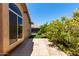 A view of the backyard with a patio, lawn, and beautiful blooming bushes at 20670 N 41St Ave, Glendale, AZ 85308
