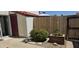A cozy back patio area featuring a potted plant, foliage, and a door to an outdoor storage unit at 2831 E Waltann Ln # 1, Phoenix, AZ 85032