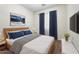 Cozy bedroom features blue accents, soft carpet, and a decorative mountain landscape painting at 4212 E Jasper Dr, Gilbert, AZ 85296