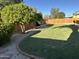 Lush backyard with green lawn, privacy fence, and mature trees at 4608 W Gail Dr, Chandler, AZ 85226