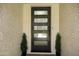 Modern front door with glass panels flanked by symmetrical potted plants at 10538 E Gold Dust Cir, Scottsdale, AZ 85258
