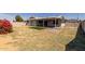 Large backyard with covered patio, storage shed, and new grass at 2233 W Oraibi Dr, Phoenix, AZ 85027