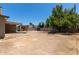 Vast backyard with a brick patio, mature tree, and detached structure for various uses at 3539 W Davidson Ln, Phoenix, AZ 85051
