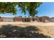 Spacious backyard with mature trees, block wall fencing, and detached guest house structure at 3539 W Davidson Ln, Phoenix, AZ 85051