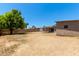 Large backyard space featuring mature trees, a sturdy fence, and potential for landscaping at 3539 W Davidson Ln, Phoenix, AZ 85051