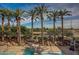 A luxurious community pool area with a spa, lounge chairs, and palm trees offers a resort-style living experience at 4909 N Woodmere Fairway -- # 1004, Scottsdale, AZ 85251