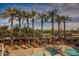 Relax and unwind by the community pool, surrounded by palm trees and lounge chairs, offering a true desert oasis at 4909 N Woodmere Fairway -- # 1004, Scottsdale, AZ 85251