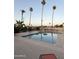 Inviting community pool surrounded by lounge chairs and tall palm trees under a clear blue sky at 530 S Alma School Rd # 75, Mesa, AZ 85210