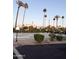Outdoor shuffleboard courts featuring desert landscaping and palm trees against a clear blue sky at 530 S Alma School Rd # 75, Mesa, AZ 85210